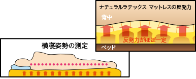 ナチュラルラテックス マットレスの反発力